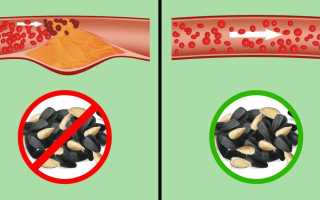 Что происходит с организмом, если вы каждый день едите семечки