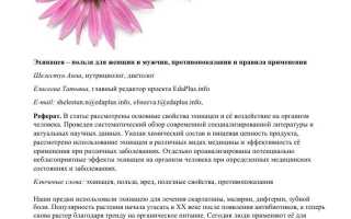 Эхинацея – лечебные свойства и противопоказания