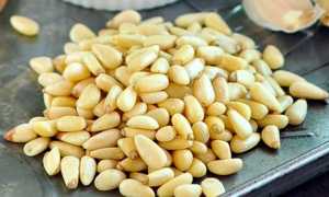 Польза и вред кедровых орехов