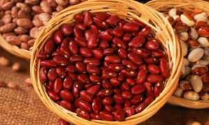 Фасоль: вред и польза