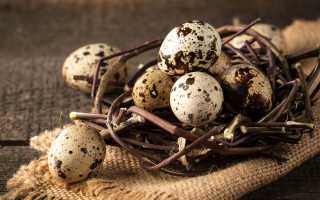 Ценный диетический продукт – перепелиные яйца: полезные и лечебные свойства, а также применение в косметологии