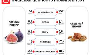 Польза и вред инжира в лечении заболеваний