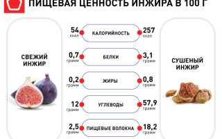 Польза и вред инжира в лечении заболеваний