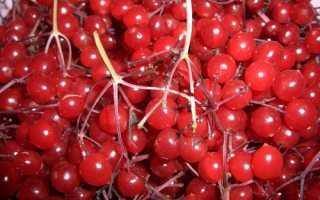 Почему сердечникам нужно употреблять калину?