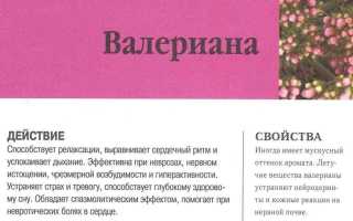 Инструкция по применению Вамелана и отзывы о препарате
