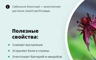 Настойка сабельника для суставов — инструкция и показания к применению