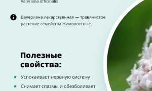 Инструкция по применению Валемидина и отзывы о препарате