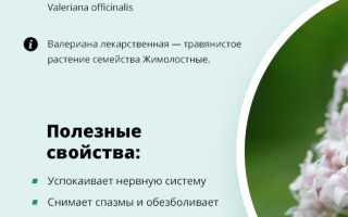 Инструкция по применению Валемидина и отзывы о препарате