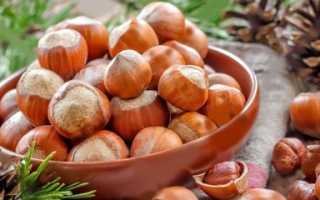 Фундук: польза и вред для человека