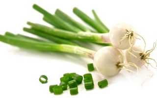 Лук: польза и вред уникального продукта