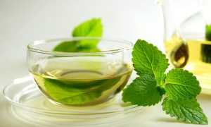Панацея от всех бед – чай с мятой: польза и вред