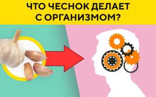 Что будет с организмом, если каждый день есть чеснок