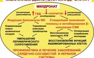 Можно ли одновременно принимать препараты Милдронат и Мексидол и какой из них лучше?