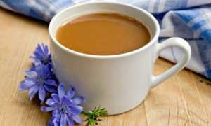 Можно ли пить цикорий с молоком: польза или вред