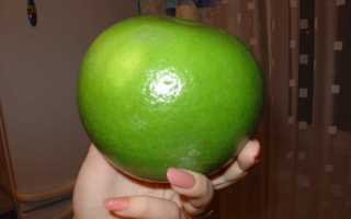 Свити: польза и вред экзотического фрукта