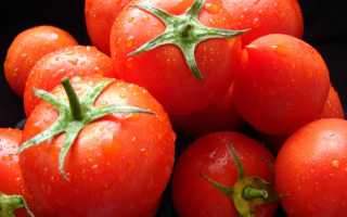 Помидоры: польза и вред сочных плодов томата