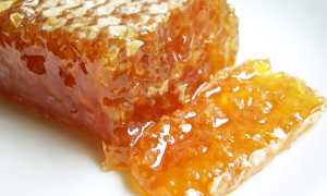 Мед в сотах — польза и вред продукта пчеловодства