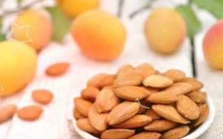 Абрикосовые косточки: польза и вред для здоровья