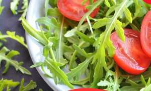 Пикантная руккола: какую пользу приносит и как правильно ее употреблять, в том числе при похудении?