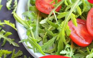Пикантная руккола: какую пользу приносит и как правильно ее употреблять, в том числе при похудении?