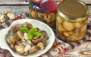 Грибы белые маринованные на зиму рецепт