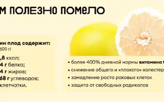9 полезных свойств помело для здоровья человека