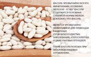 Чем полезна белая фасоль для организма