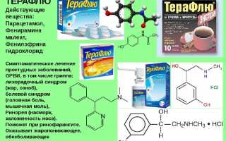 Инструкция по применению Терафлю, состав и цена