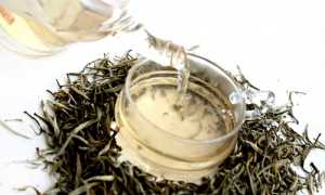 Белый чай — польза и вред древнего напитка