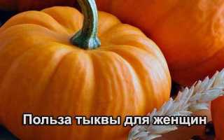 Тыква – польза и вред для организма
