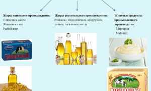 Выделен ряд вредных продуктов, способствующих расщеплению жиров