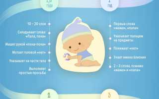 Развитие речи в год