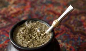 Терпкий и ароматный – чай мате: чем полезен и как правильно его заваривать?