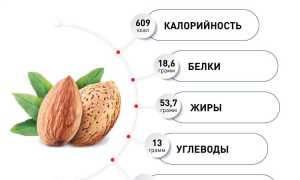 Миндаль — орех с секретом: на что он может повлиять, выяснили итальянские ученые