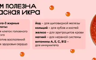 Красная икра: польза и вред для здоровья