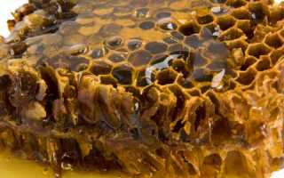 Прополис: лечебные свойства и противопоказания к использованию продукта