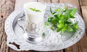 Айран — польза и вред кисломолочного напитка долгожителей