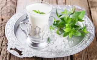 Айран — польза и вред кисломолочного напитка долгожителей