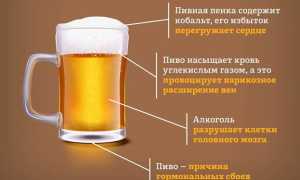 Польза, вред и противопоказания к употреблению пива