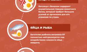 10 несочетаемых вариантов продуктов, их нужно знать всем