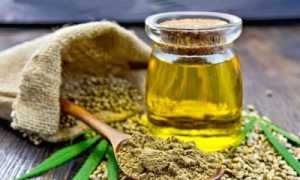 Конопляное масло; польза и вред, исторический экскурс