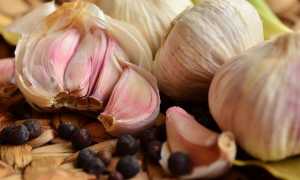 Почему полезно употреблять чеснок натощак