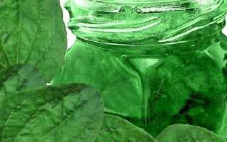 Целебный сок подорожника: польза и вред полезного растения