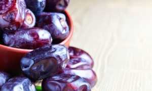 Финики: польза и вред для организма в ежедневном питании