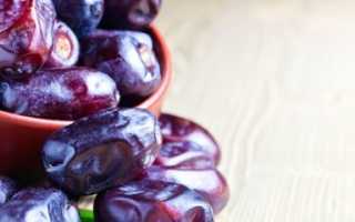 Финики: польза и вред для организма в ежедневном питании