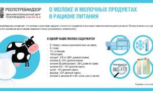 Молоко: польза и вред для организма