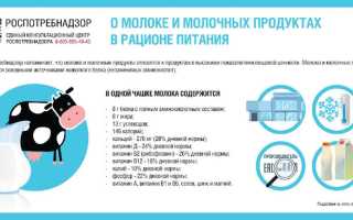 Молоко: польза и вред для организма