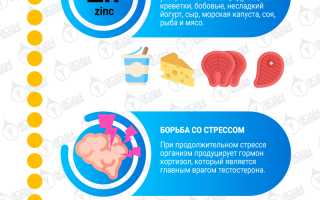 10 простых способов стимулировать выработку тестостерона