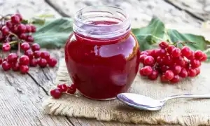 Калина от высокого давления: лучшие рецепты