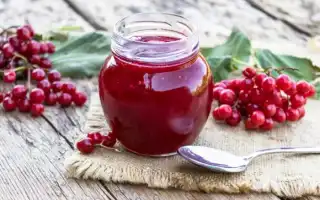 Калина от высокого давления: лучшие рецепты